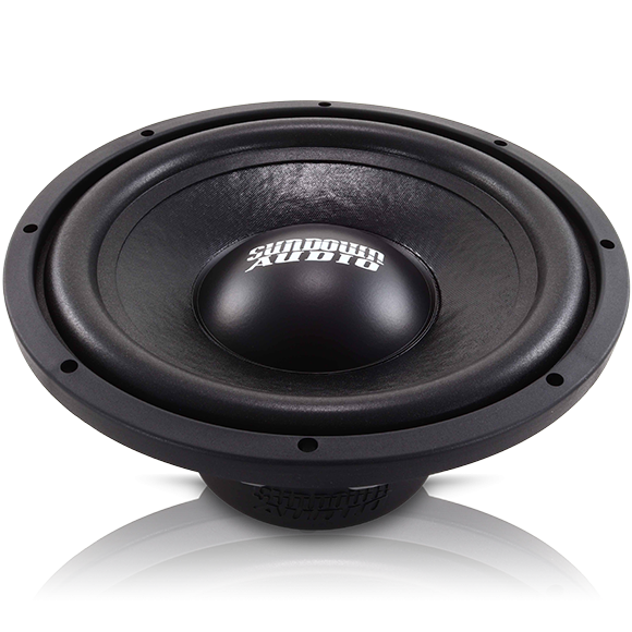 Dual 300 best sale watt subwoofer