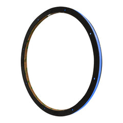 DS18 LRING12 12" RGB LED Ring for Speaker and Subwoofers