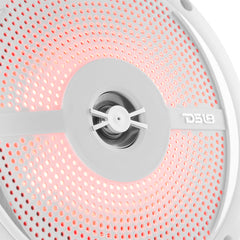 DS18 HYDRO NXL-6SL - 6.5" 2-Way Marine Slim Speaker